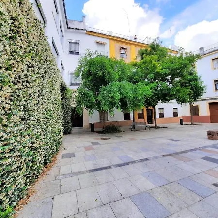 Apartmán San Pedro Parking Gratis Coche Mediano